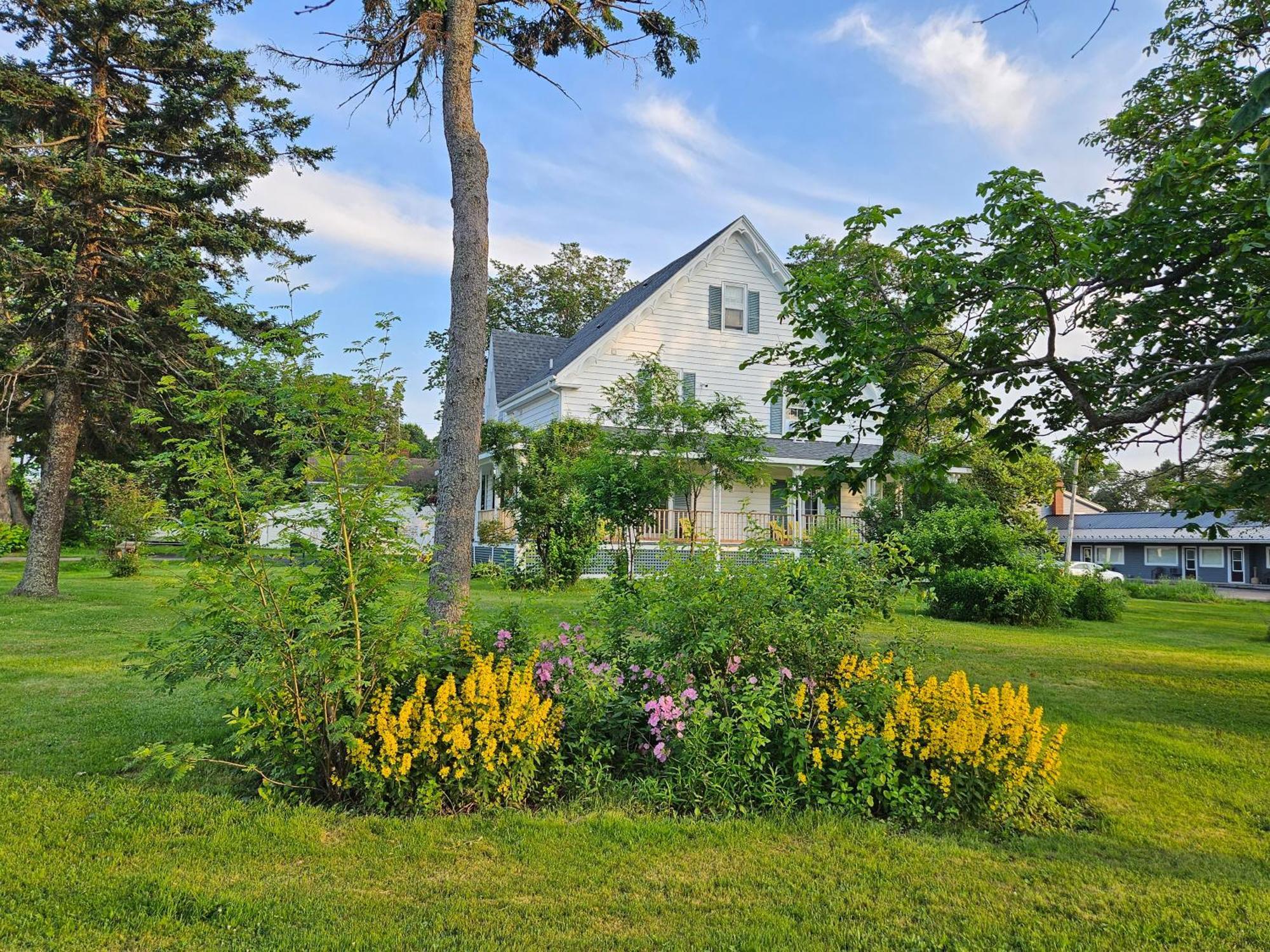 Sunflower Guest Suites Summerside Esterno foto
